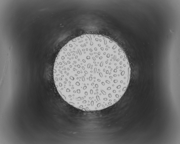 X0000103971301200810311516