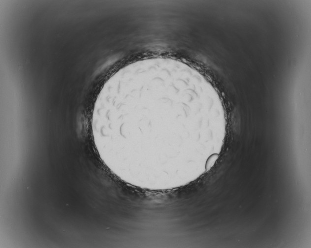 X0000103971302200810311516