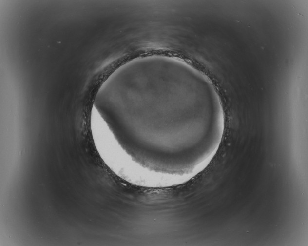 X0000103971303200810311516