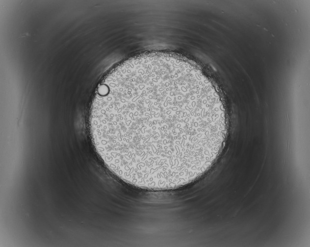 X0000103971305200810311516