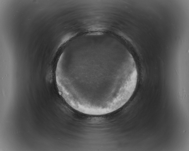 X0000103971306200810311516