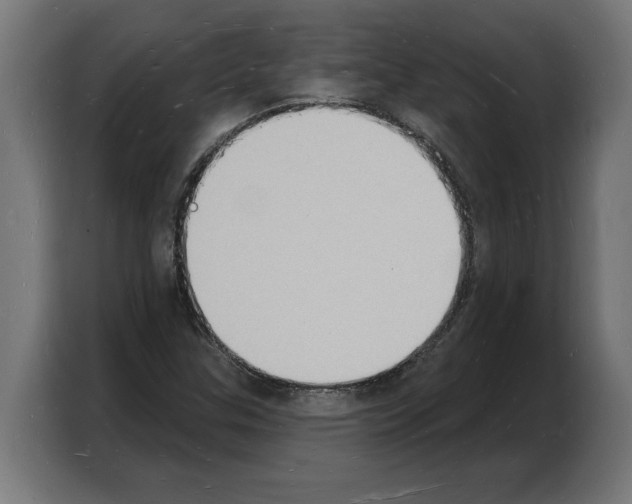 X0000103971307200810311516