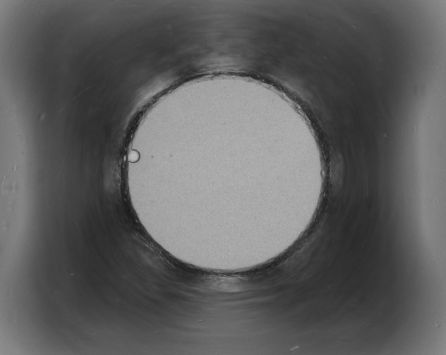 X0000103971309200810311516