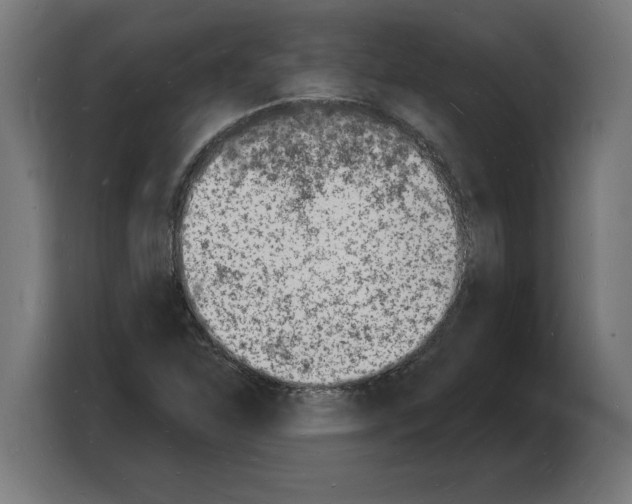 X0000103971310200810311516