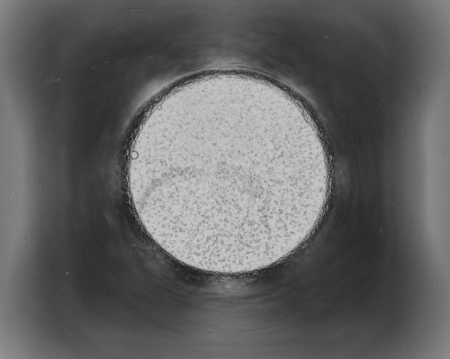 X0000103971311200810311516
