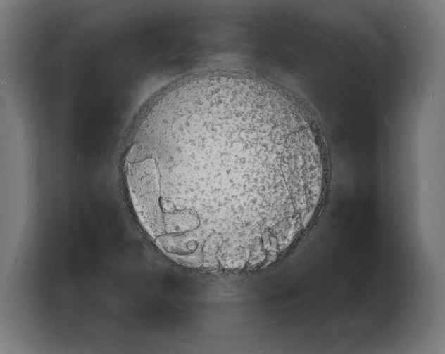 X0000103971312200810311516