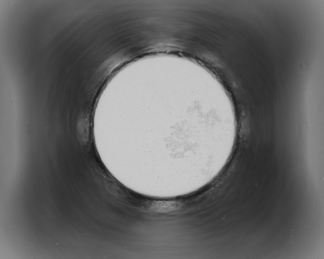 X0000103971313200810311516