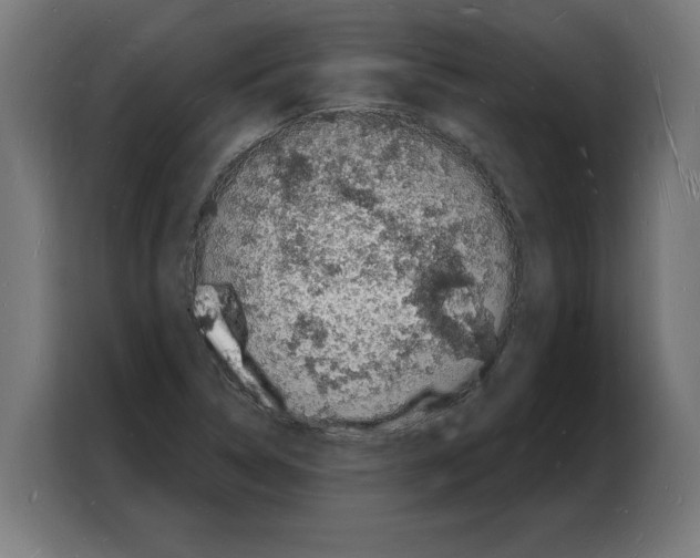 X0000103971314200810311516