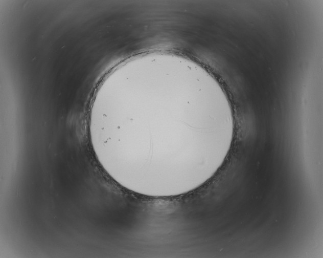 X0000103971316200810311516