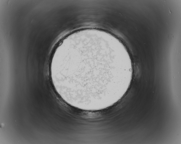 X0000103971318200810311516