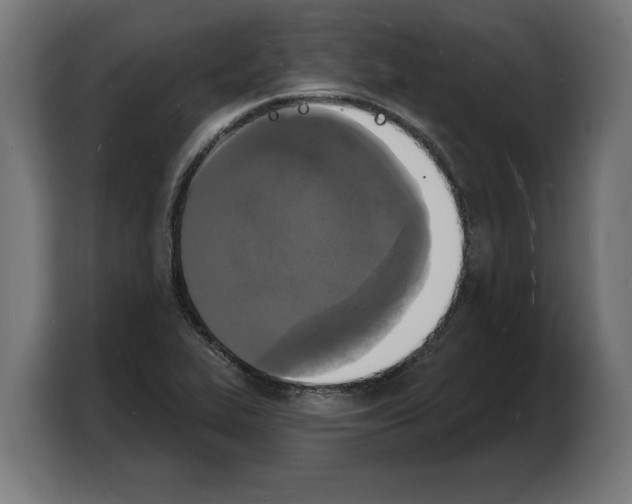 X0000103971319200810311516