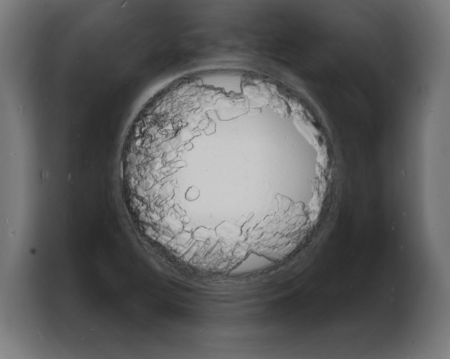 X0000103971320200810311517