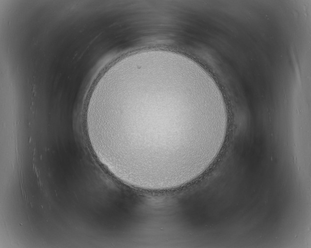 X0000103971324200810311517
