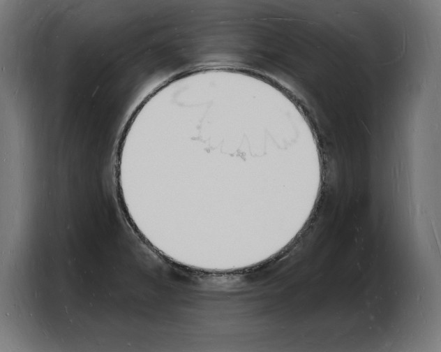 X0000103971325200810311517