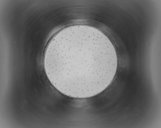 X0000103971328200810311517