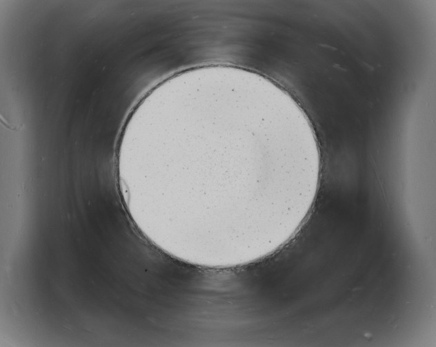 X0000103971332200810311517