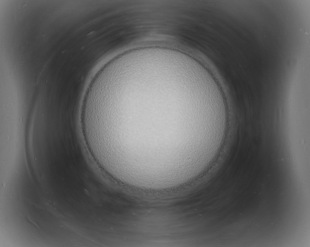 X0000103971336200810311517