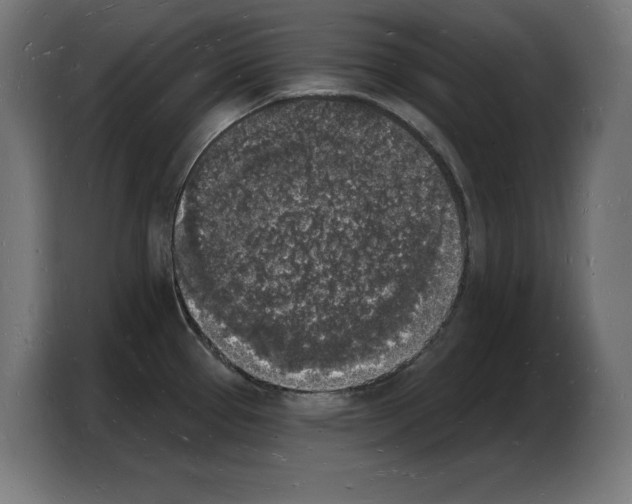 X0000103971337200810311517