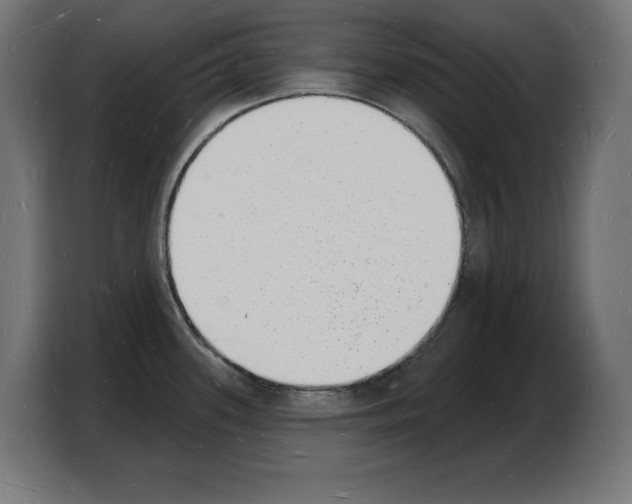 X0000103971339200810311517