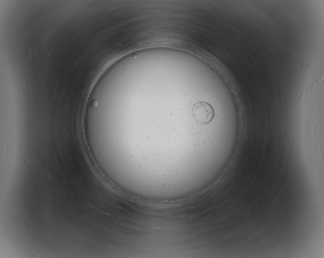 X0000103971340200810311517