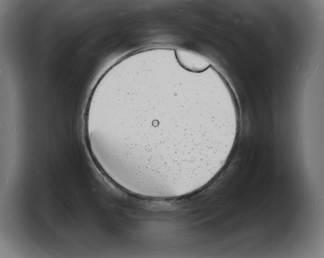 X0000103971341200810311517
