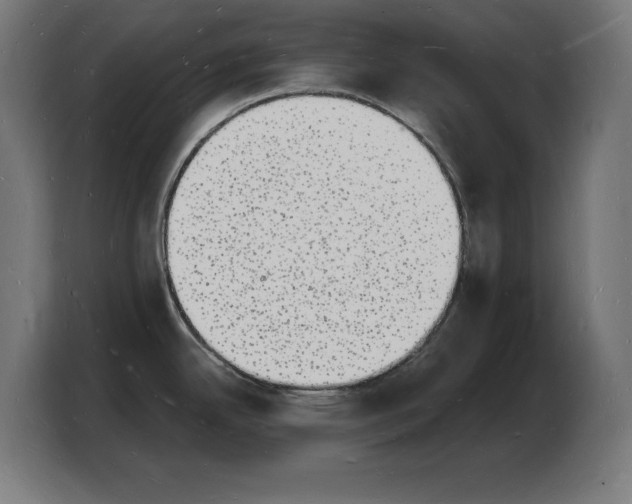 X0000103971342200810311517