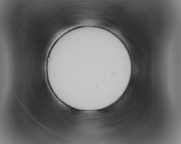 X0000103971343200810311517