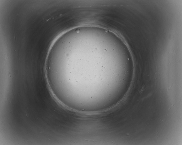 X0000103971344200810311517
