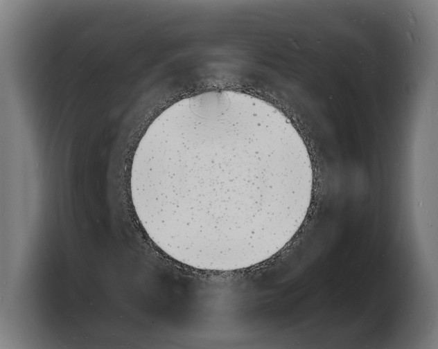 X0000103971345200810311516