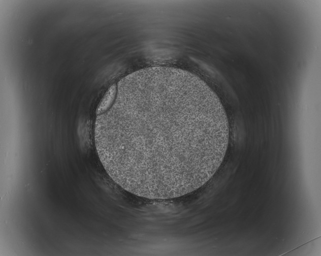 X0000103971346200810311516
