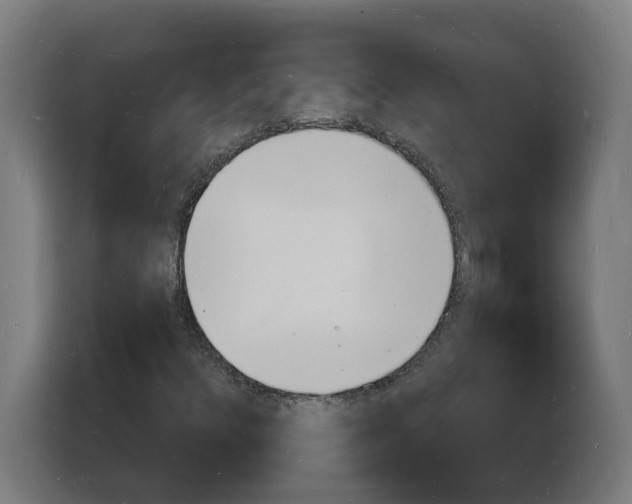 X0000103971348200810311516