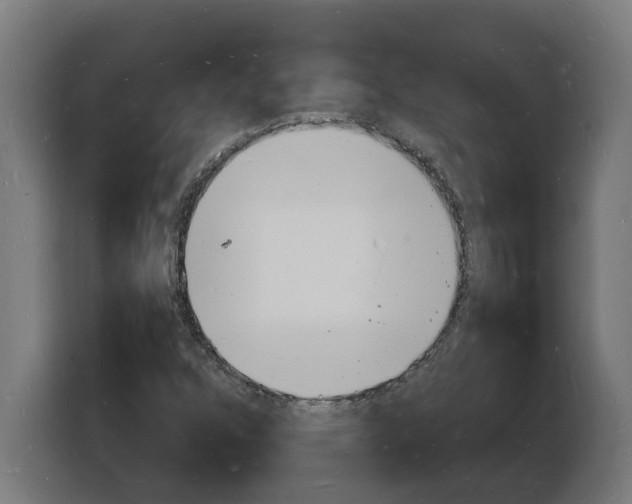 X0000103971352200810311516