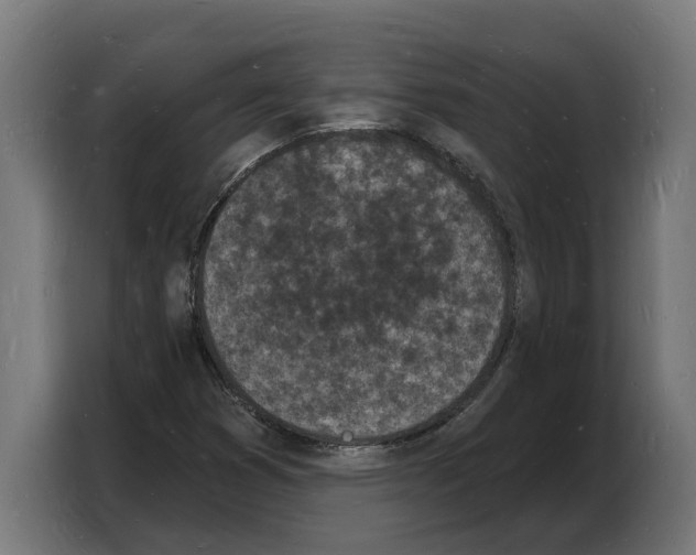 X0000103971353200810311516