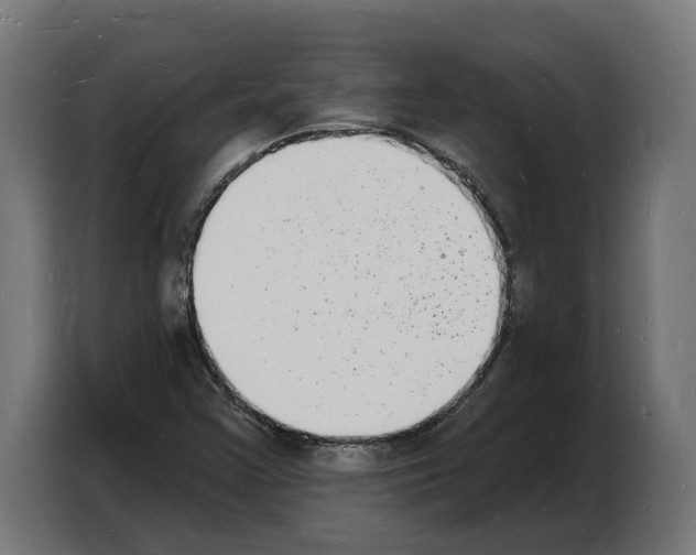 X0000103971355200810311516