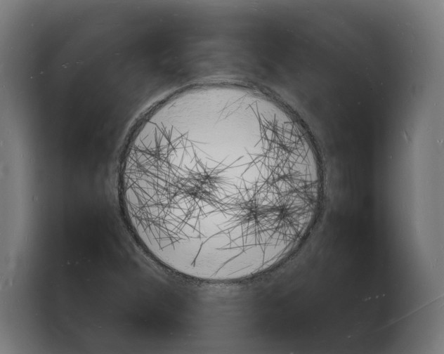 X0000103971356200810311516