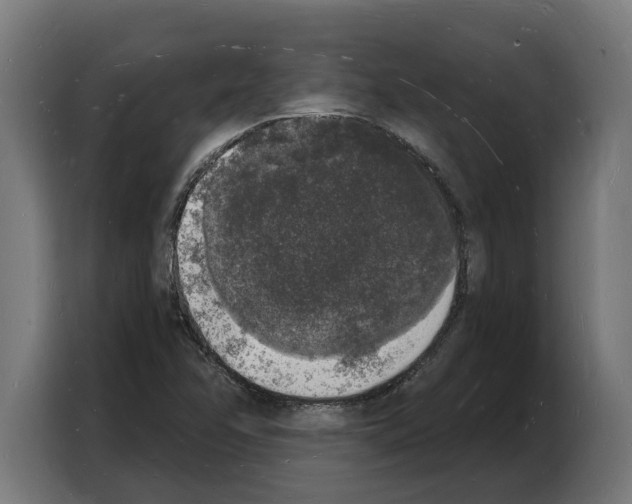 X0000103971358200810311516