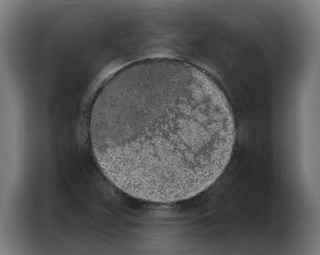 X0000103971359200810311516