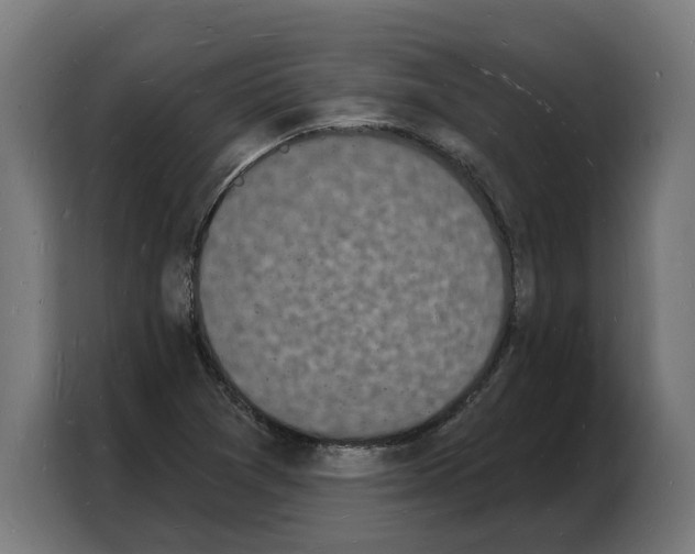 X0000103971361200810311516