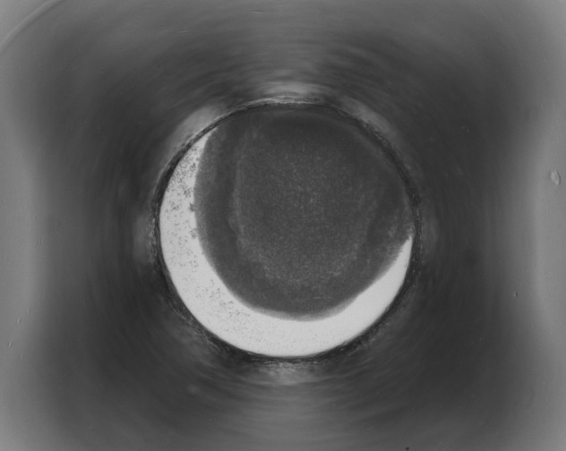 X0000103971362200810311516