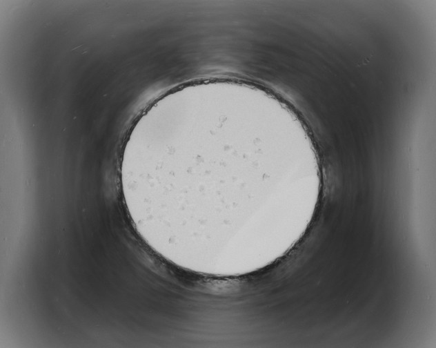 X0000103971363200810311516
