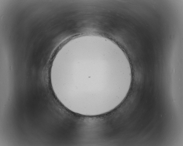 X0000103971364200810311516