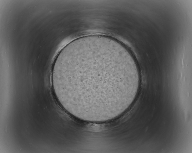 X0000103971365200810311516