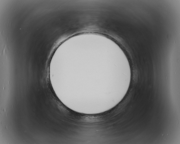 X0000103971366200810311516
