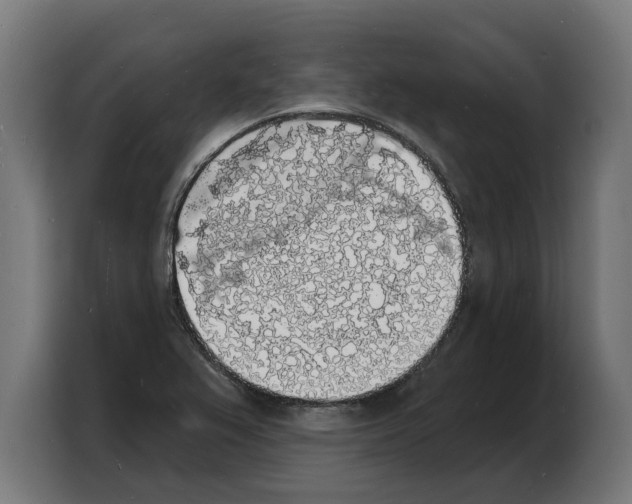 X0000103971367200810311516