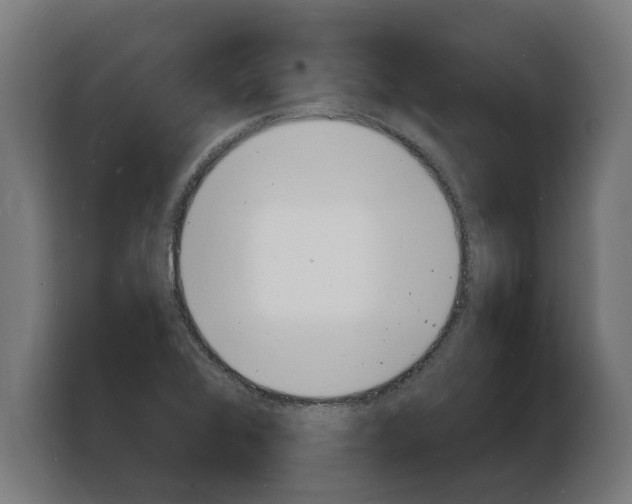 X0000103971368200810311516