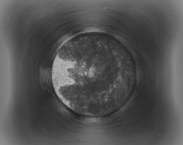 X0000103971369200810311516
