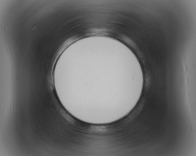 X0000103971370200810311516