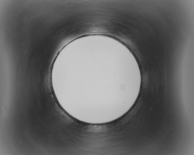 X0000103971374200810311516