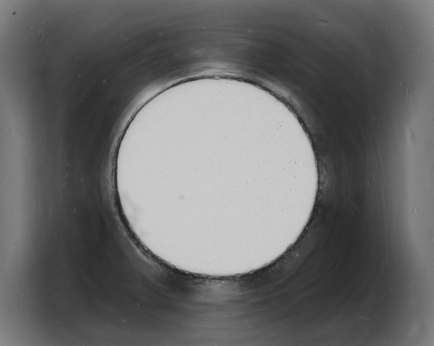 X0000103971375200810311516