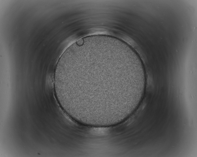 X0000103971377200810311516